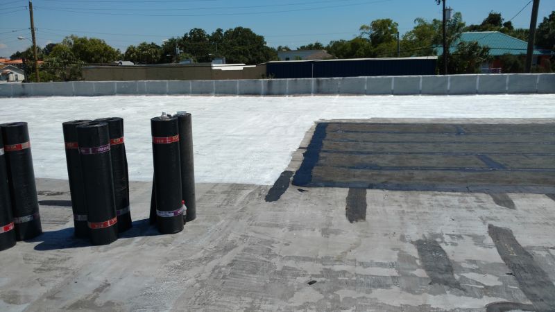 Tpo Roof Coating Service detail
